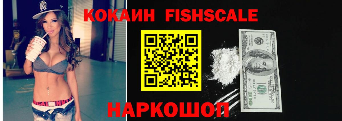 КОКАИН  Вход с VPN  Заводоуковск  КОКАИН Fish Scale  КОКАИН Эквадор 