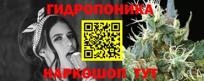 ешки Бийск