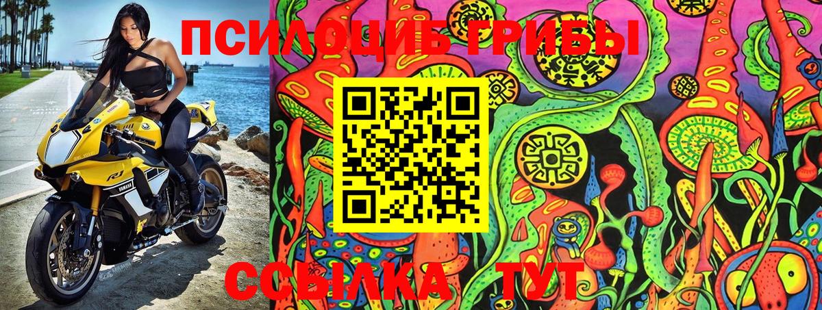 Заводоуковск  Галлюциногенные грибы Psilocybine cubensis  Вход с VPN 