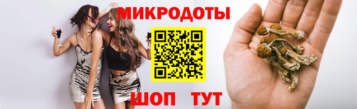 Галлюциногенные грибы Magic Shrooms Заводоуковск
